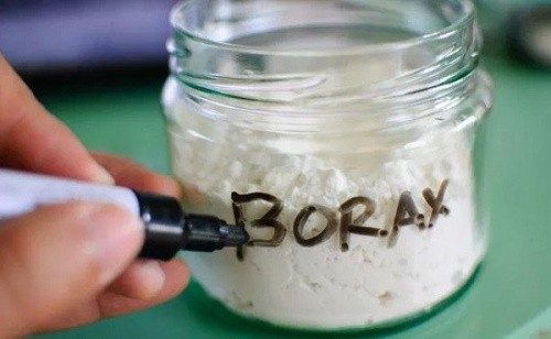bot-borax-han-the-1
