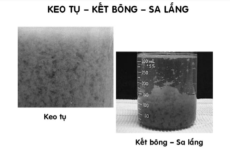 Polymer thabichemfloc A101