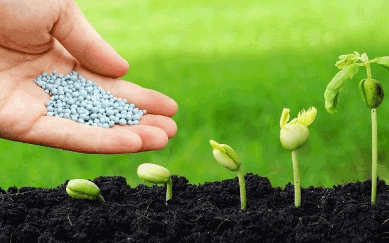 Ứng dụng quan trọng của Kali cacbonat trong sản xuất phân bón