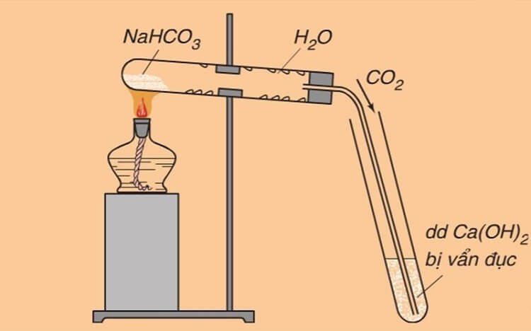 Soda Ash Light