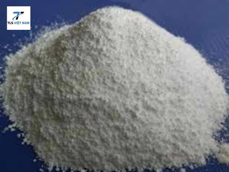 Xu hướng thị trường và triển vọng phát triển
