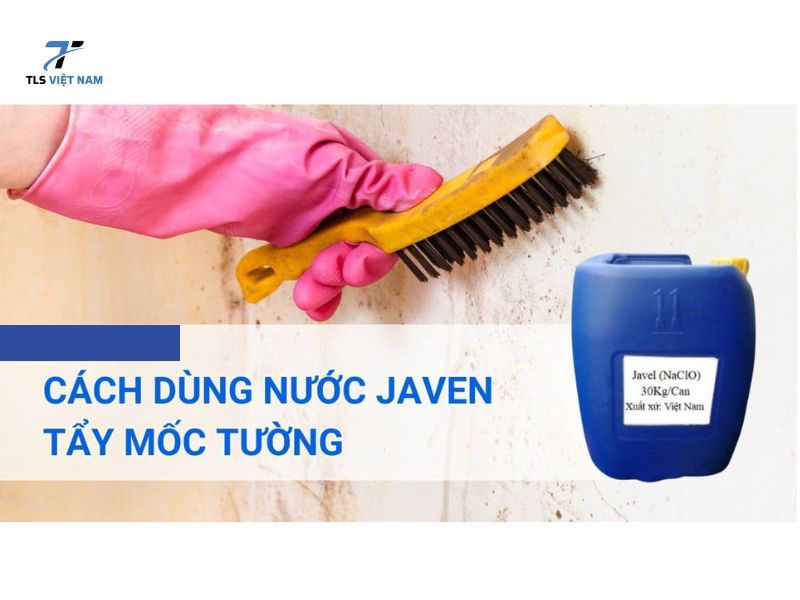 Nguyên Nhân Gây Mốc Tường Và Tác Hại Nếu Không Xử Lý