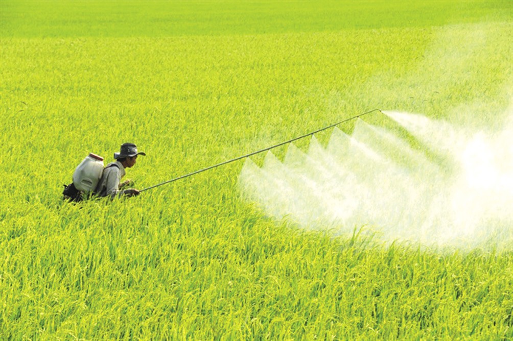 Ứng dụng của Barium chloride BaCl2 trong sản xuất thuốc trừ sâu