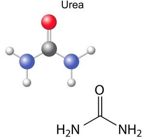 Mua bán Urê CO(NH2)2, Việt Nam, 50kg/bao 1 Công thức hóa học của phân Urê
