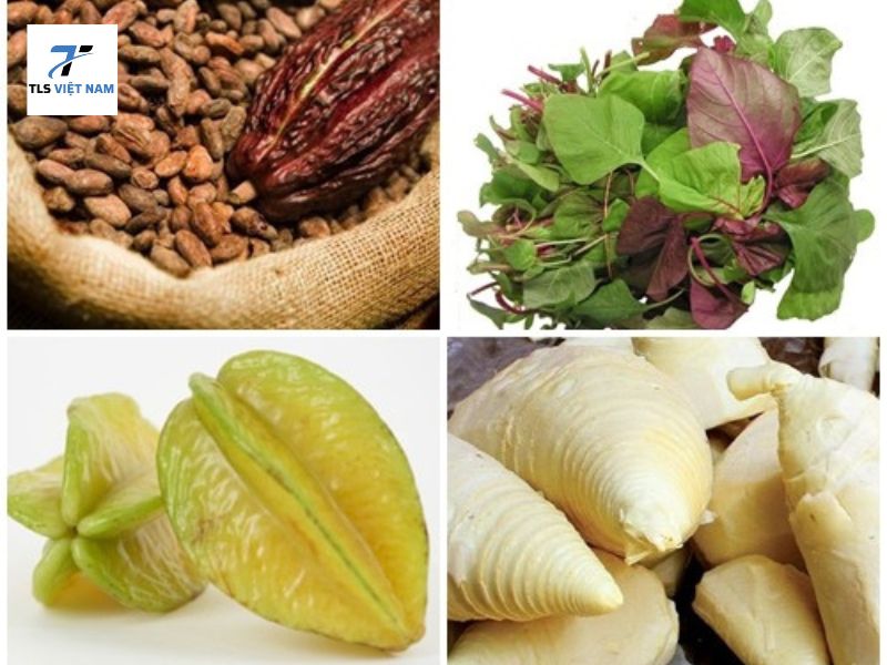 Axit oxalic có độc không? Tác hại, liều lượng và cách phòng tránh 4 Axit oxalic có độc không đối với cơ thể con người?