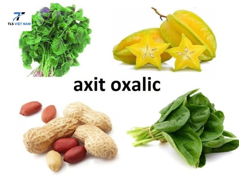Axit oxalic có trong thực phẩm nào? Danh sách chi tiết và ảnh hưởng tới sức khỏe 3 Nhóm thực phẩm chứa nhiều axit oxalic