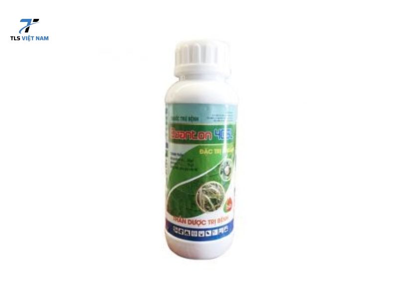 7 Hóa Chất Bảo Vệ Thực Vật Nhập Khẩu Được Sử Dụng Phổ Biến Tại Việt Nam 5 Mancozeb – Thuốc trừ nấm phổ biến