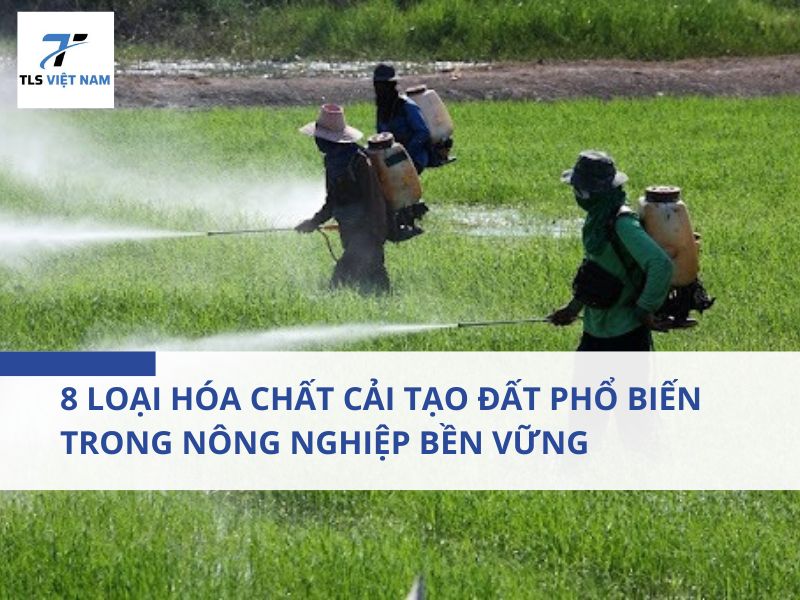 8 loại hóa chất cải tạo đất phổ biến trong nông nghiệp bền vững