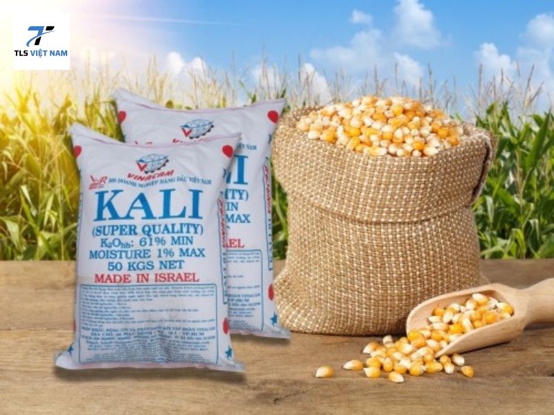 8 loại hóa chất cải tạo đất phổ biến trong nông nghiệp bền vững 9 Kali clorua (KCl) và kali sunfat (K₂SO₄)