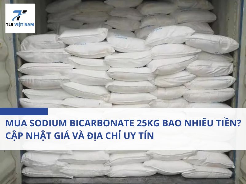 Mua Sodium Bicarbonate 25kg Bao Nhiêu Tiền? Cập Nhật Giá Và Địa Chỉ Uy Tín