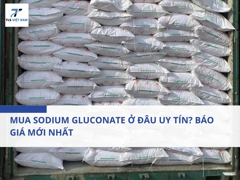 Mua Sodium Gluconate Ở Đâu Uy Tín? Báo Giá Mới Nhất & Kinh Nghiệm Mua Cho Doanh Nghiệp